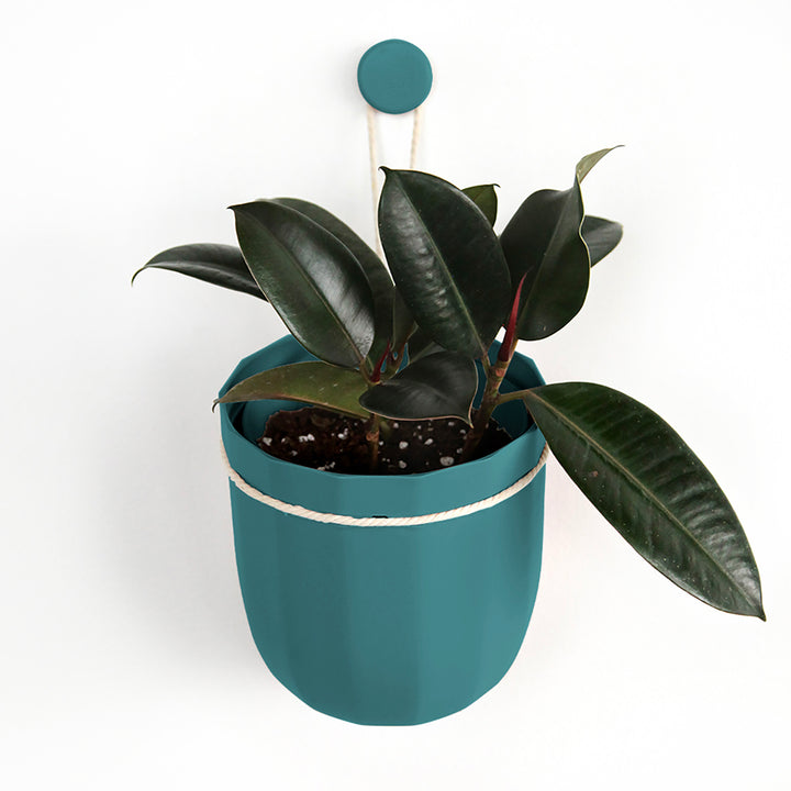 Loop Hanging Planter in Teal