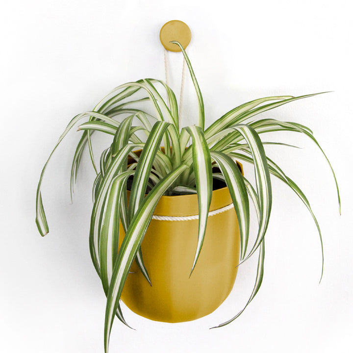 Loop Hanging Planter in Mustard